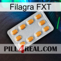 Filagra FXT cialis3